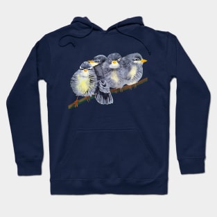 Birds Hoodie